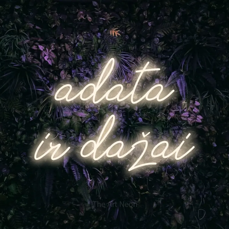 Adata ir dažai LED Neon Sign