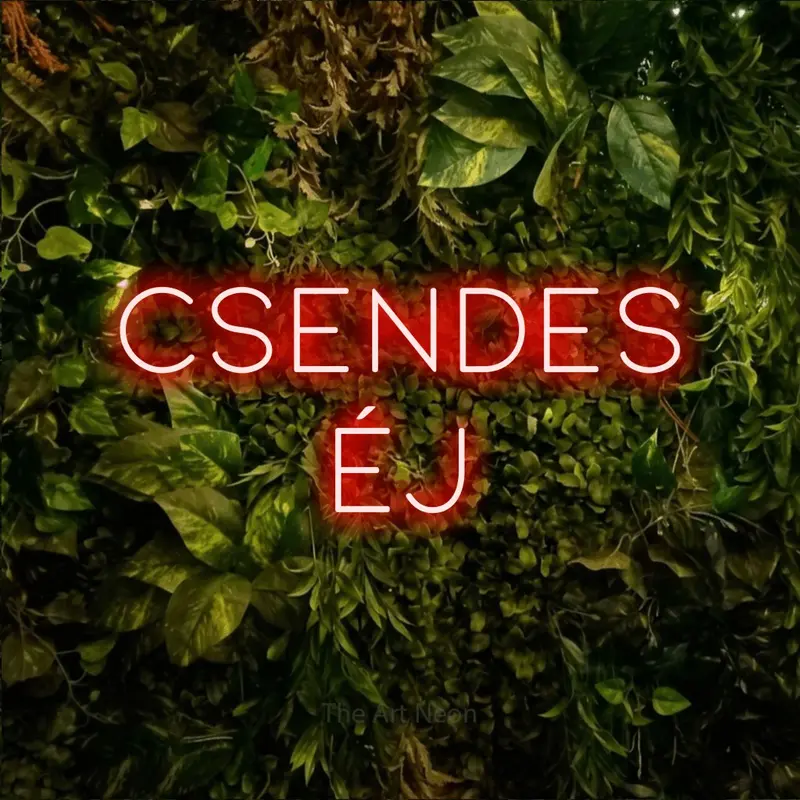 Csendes éj LED Neon Sign